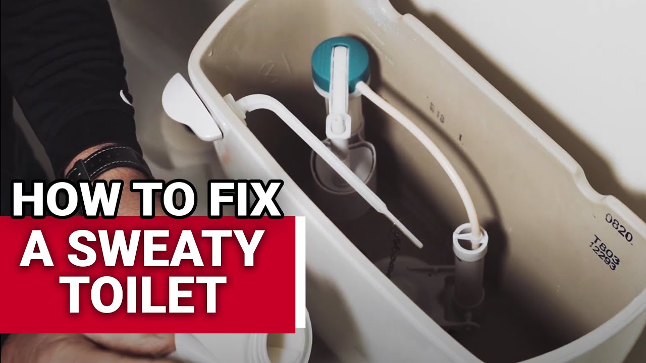 How To Fix A Sweaty Toilet - Ace Hardware