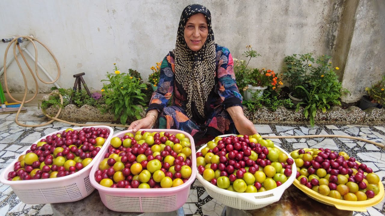 Recipe for plum paste in IRAN - رب آلوچه
