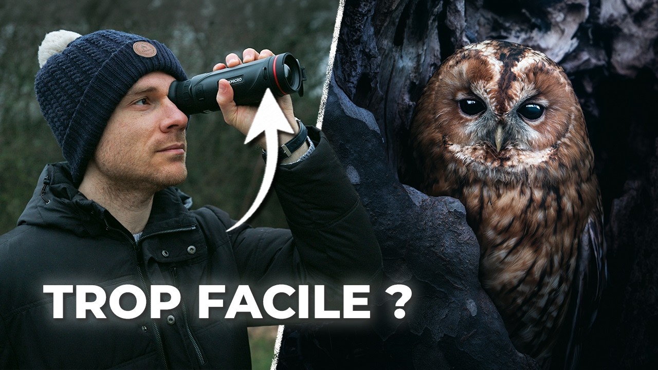 Comment j'ai trouvé une Loge de Chouette Hulotte