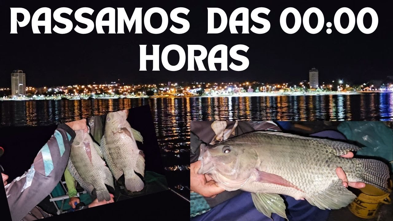 FICAMOS ATÉ MAIS MEI NOITE PESCANDO TILAPIA EM RIFAINA !!!!!