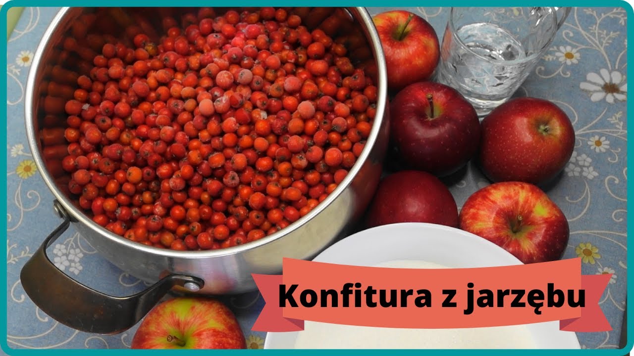 Konfitura z jarzębu szwedzkiego i jabłek, uzbieraj i zrób samodzielnie! Jest pyszny!