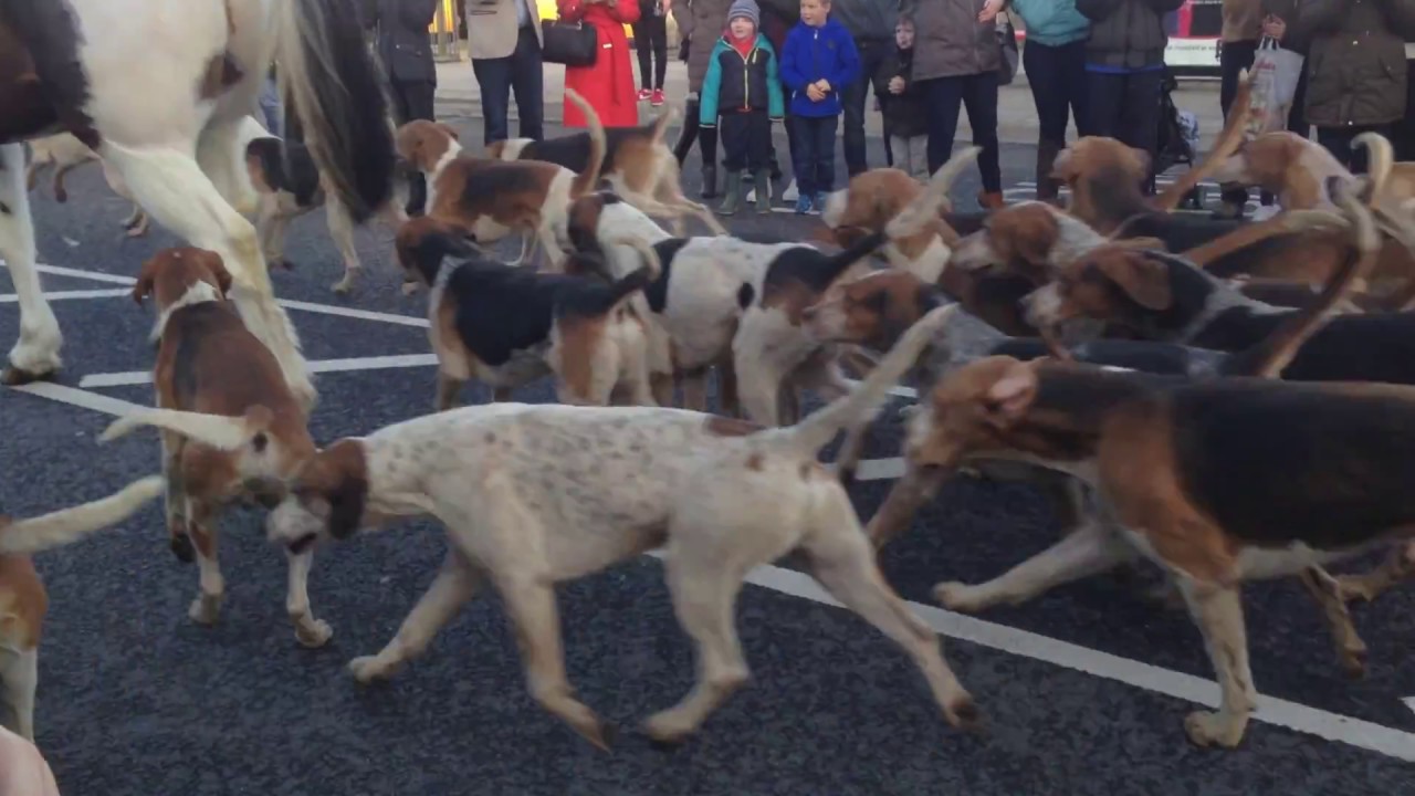 The Ward Union Hunt - Boxing Day/St Stephen's Day Meet