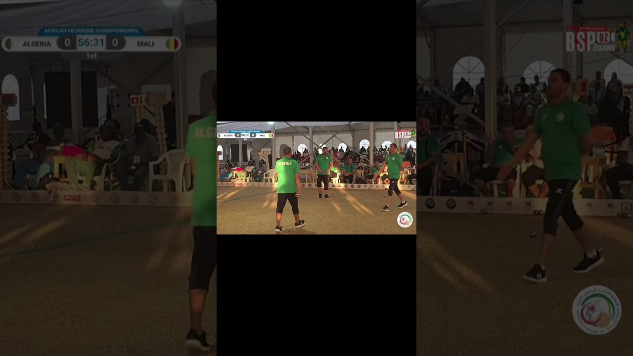 المنتخب الوطني الجزائري ضد المنتخب المالي 