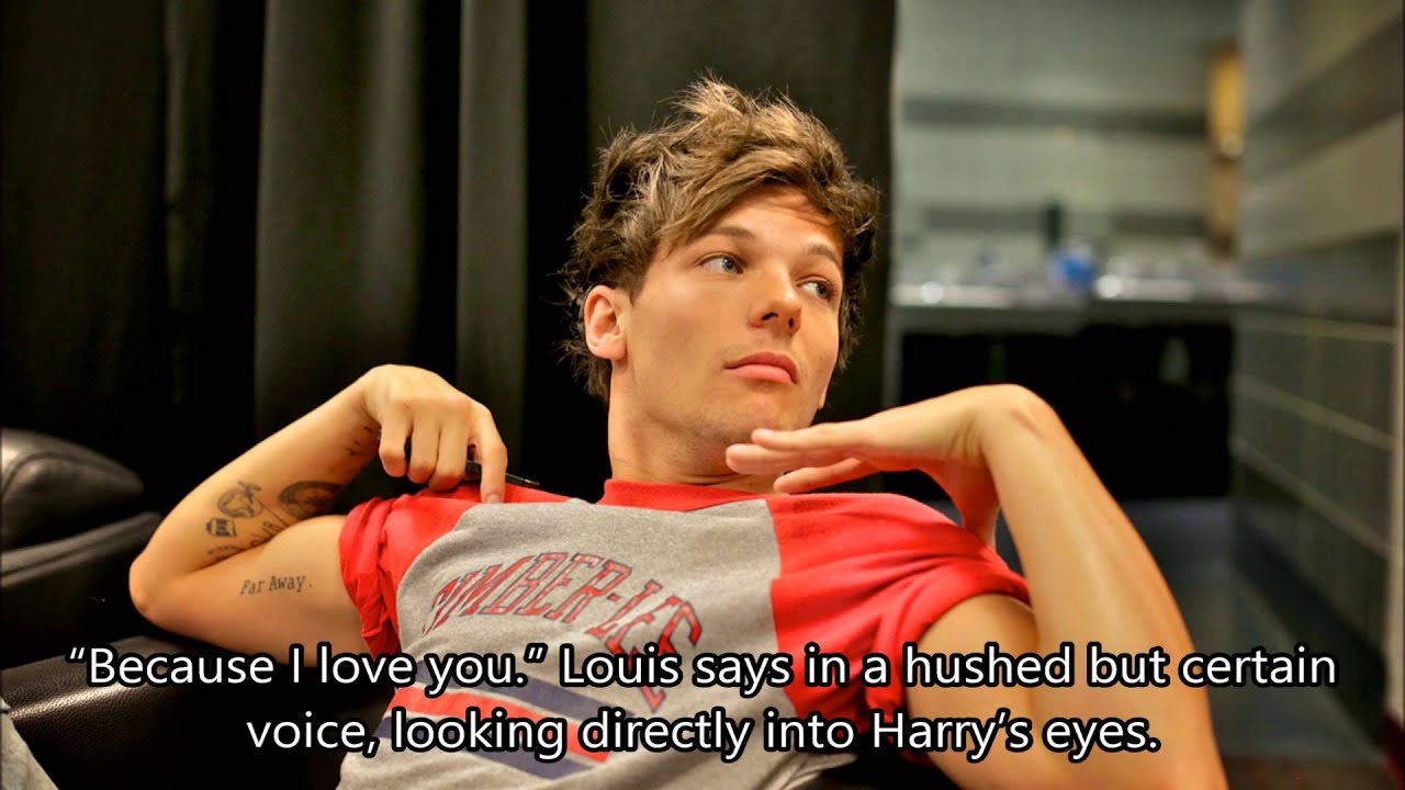 Our Adventures part 41 (Larry Stylinson)