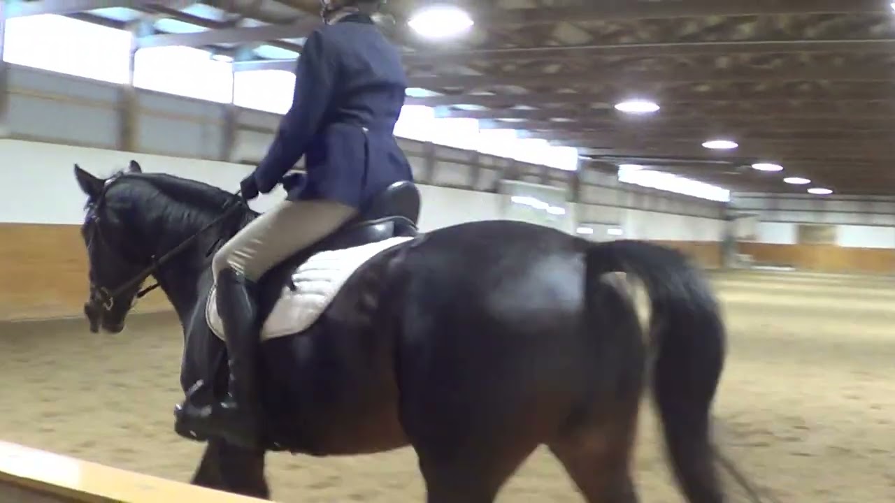 Linda Nelson & Pepsi February  Intro to B