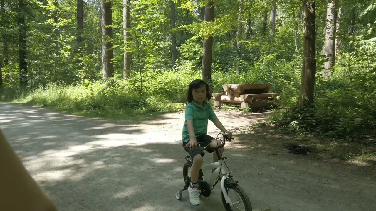 DJI Osmo Pocket//Shots//Dammerstock