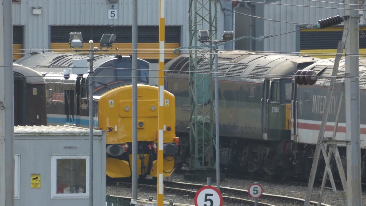 Heavy Movements At Crewe Diesel Depot l Trains At LSL Crewe (ft. 56090 & 37667) 23/10/24