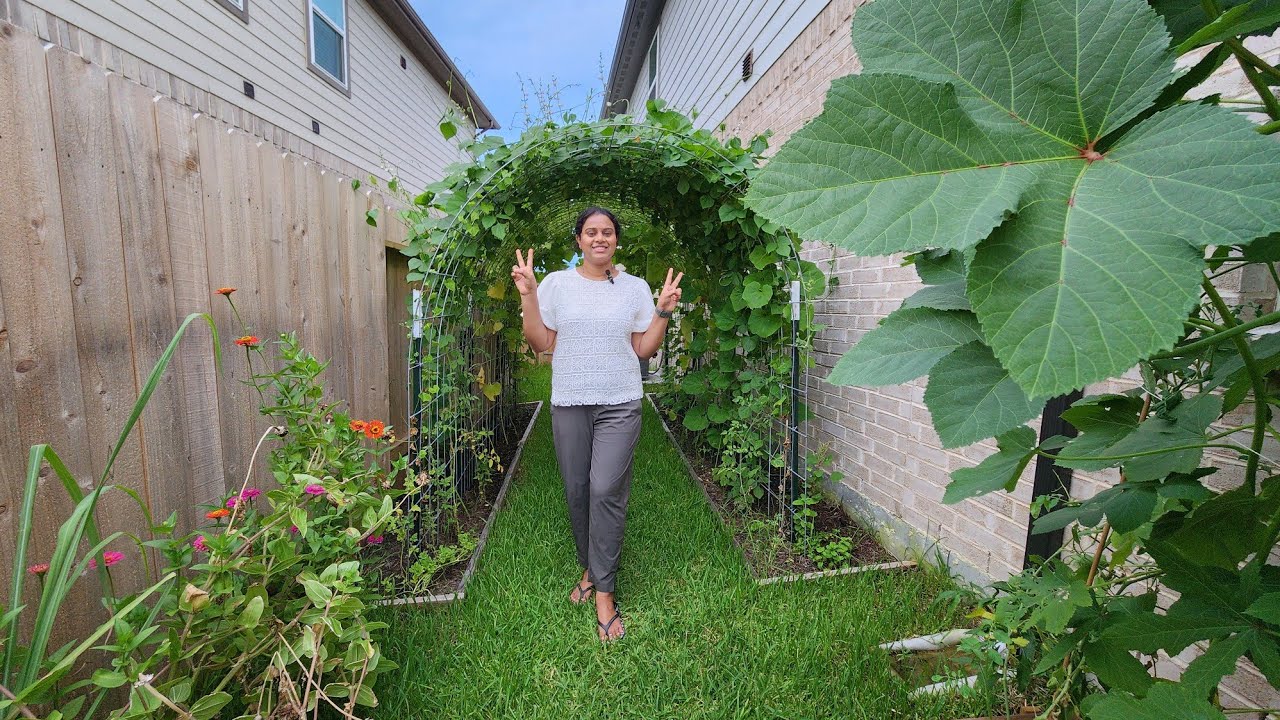 My beautiful new garden tour 2024 | Raised beds|  Pot plants| Plants Caring 🪴 🌿  🌴  🍅 🍆