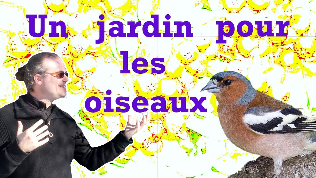 Sauver nos oiseaux dans les jardins