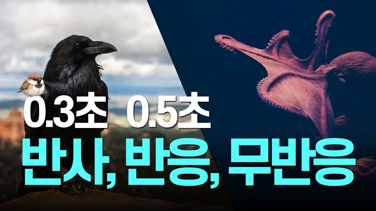 스본스도의 핵심 스본: 0.3초의 '반사', 0.5초의 '반응' 그리고 ‘무반응'