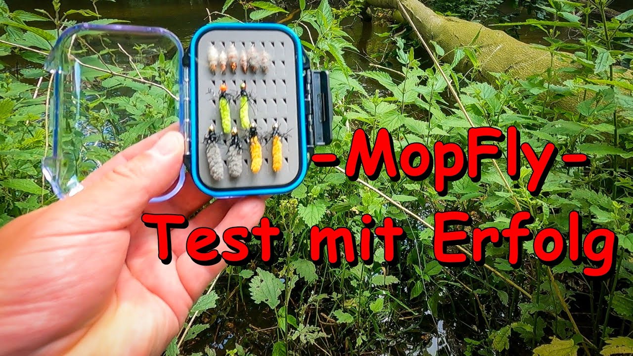 Fliegenfischen in MV - MopFly Test, jede Menge Mücken und was zu lachen😅