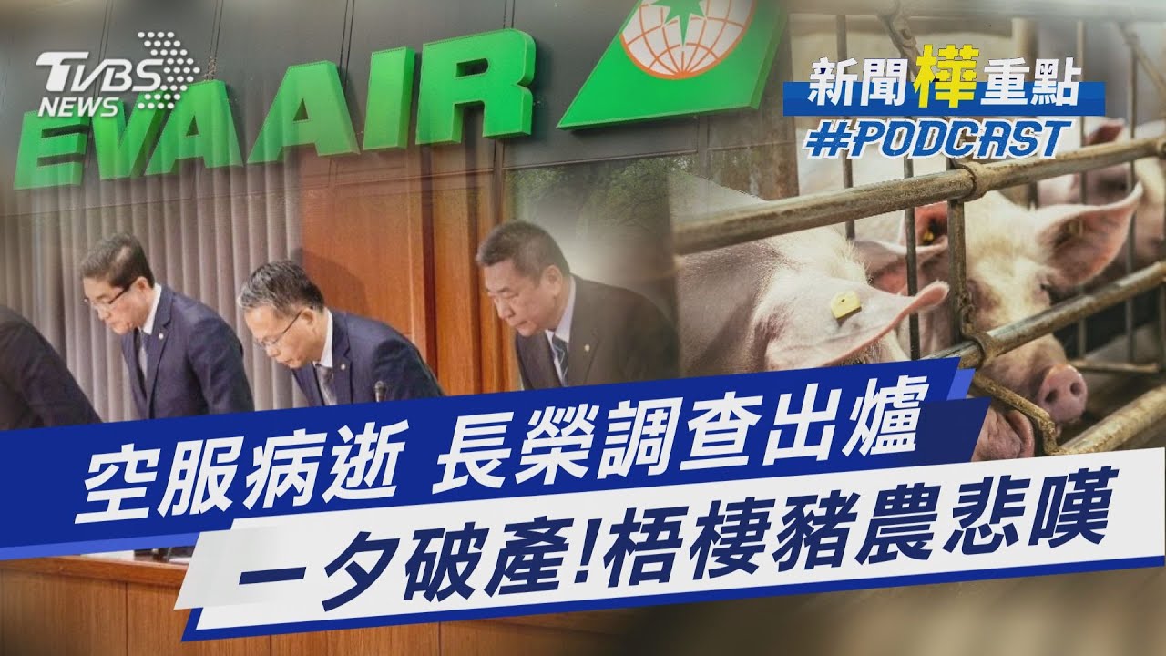 空服員病逝! 長榮調查出爐曝4缺失 工會嗆只為止血 非洲豬瘟釀一夕破產! 梧棲豬農悲嘆 曝兒已去找工作｜新聞