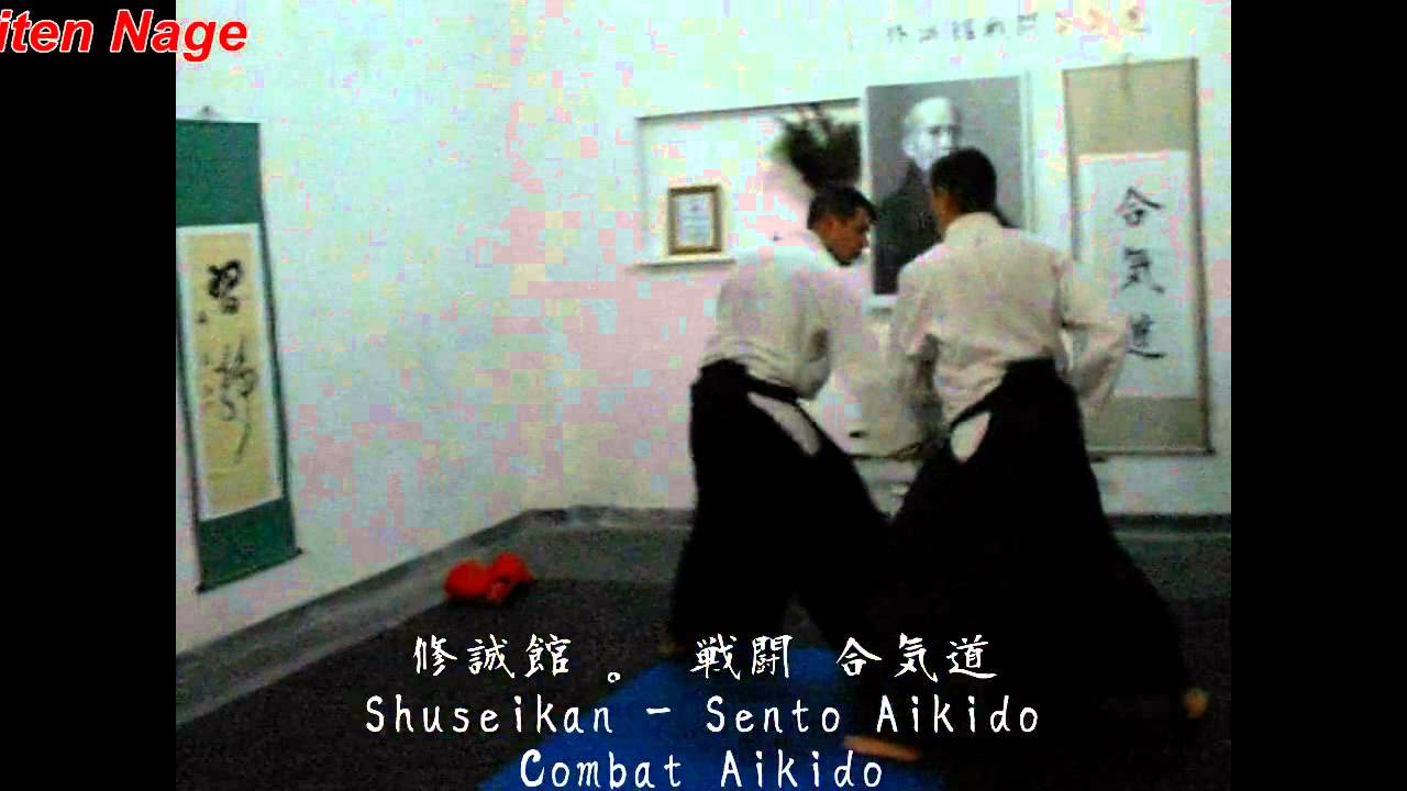 Aikido Shojin Dojo - aplicacion de atemi