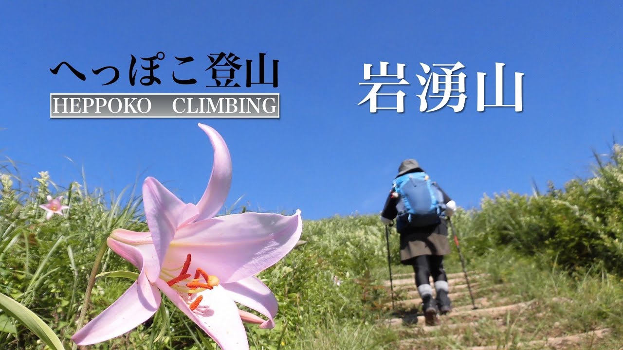 【大阪府河内長野市】岩湧山✨いわわきの道コースで登ってきました😀