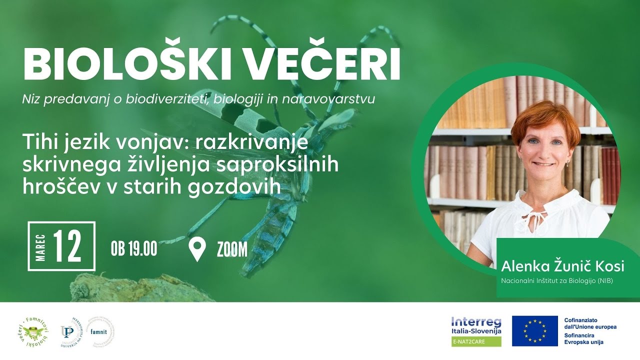 Alenka Žunič Kosi: Razkrivanje skrivnega življenja saproksilnih hroščev v starih gozdovih