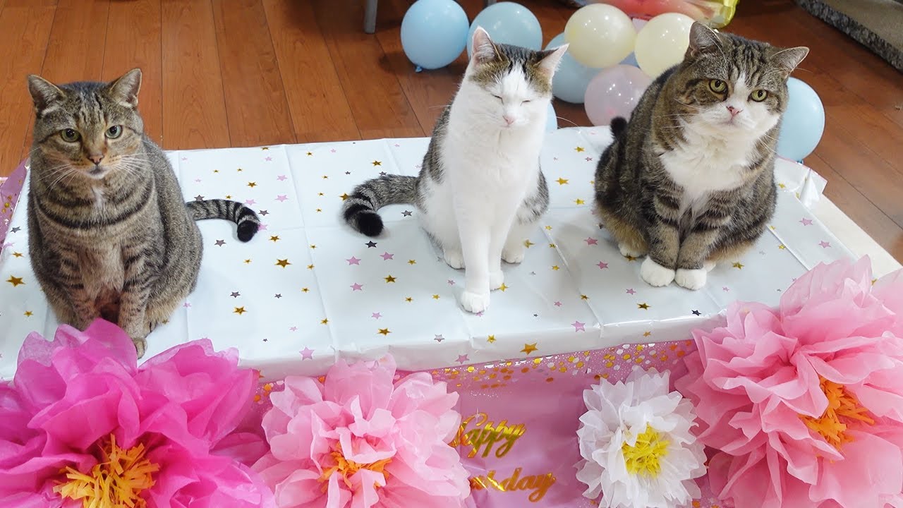 みり2才のお誕生日会。-Miri’s 2nd Birthday Party.-