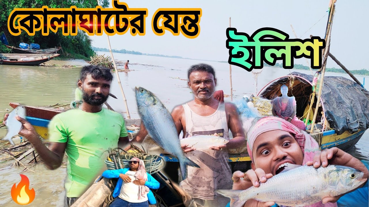 কোলাঘাটের ইলিশ,ধোরতে গেলাম, Big hilsa Fish,cutting skills, kolaghat fish market, ilish mach,