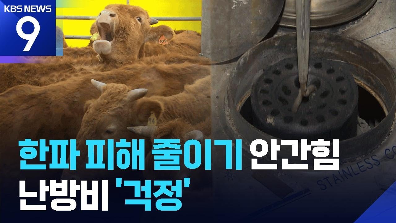 ‘대한’ 추위에 꽁꽁…농가도, 쪽방촌도 비상 [9시 뉴스] / KBS  2026.01.20.