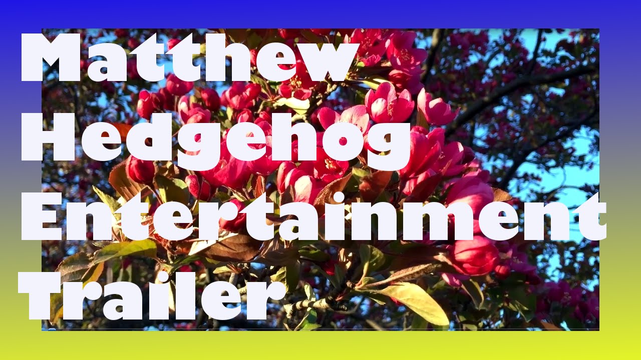 Matthew Hedgehog Entertainment Trailer