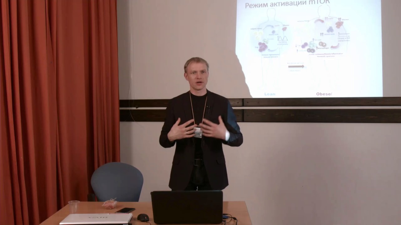 Быстрая и медленная еда.