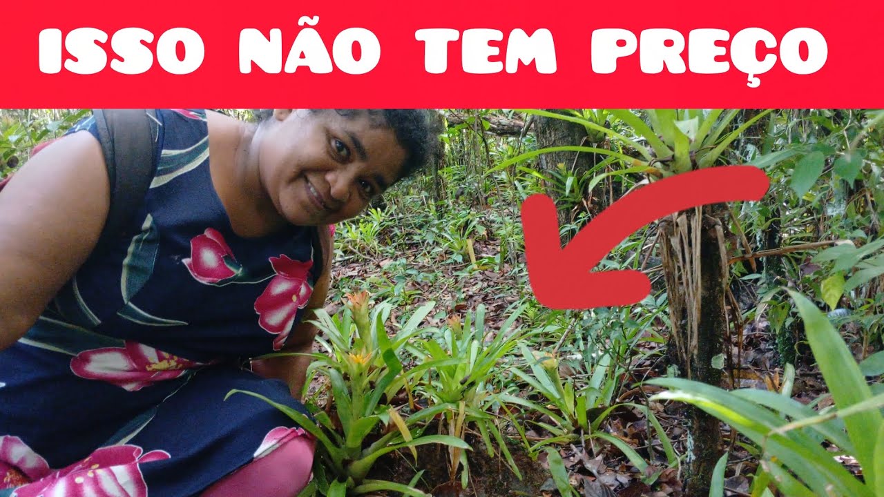 NOSSO LUGAR SECRETO NO MEIO DA FLORESTA #preservação @Cacafiusa 