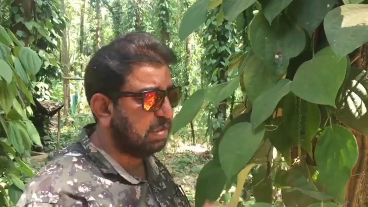 एक एकड़ से कमाई पच्चीस लाख।डां राजाराम त्रिपाठी || NATURAL FARMING