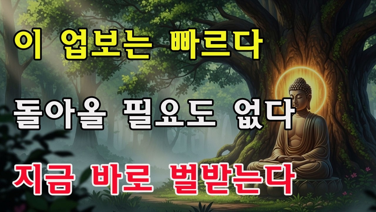 왜 어떤 인과응보는 이렇게 빠를까? 부처님이 밝힌 세 가지 악행—윤회를 기다리지 않고 현세에서 곧바로 과보를 받는다!