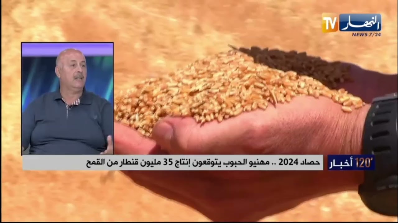 الزراعة الصحراوية..  نحو تحقيق الاكتفاء الذاتي في انتاج القمح