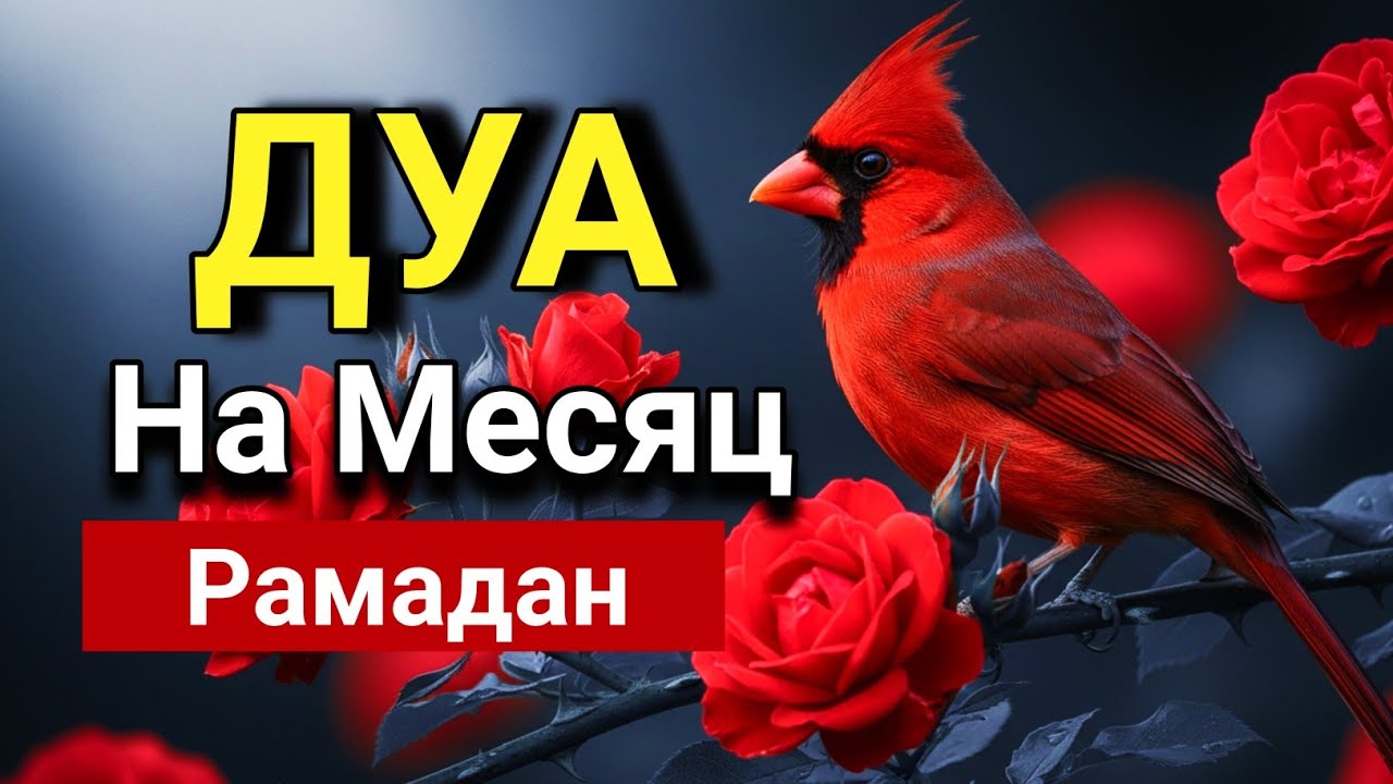 🔑🌟 Слушай это дуа сейчас в месяце рамадан - Дуа которое стирает все грехи! 💖🤲💯