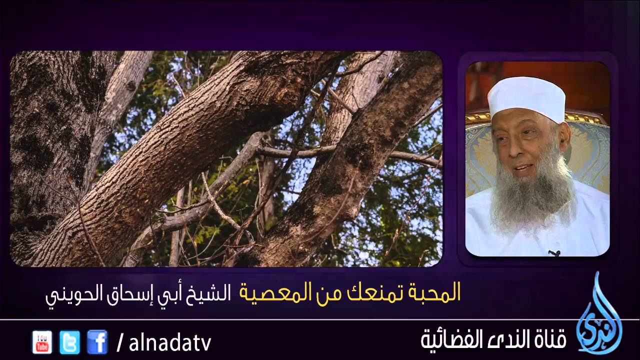 المحبة تمنعك من المعصية - الشيخ  أبي إسحاق الحويني
