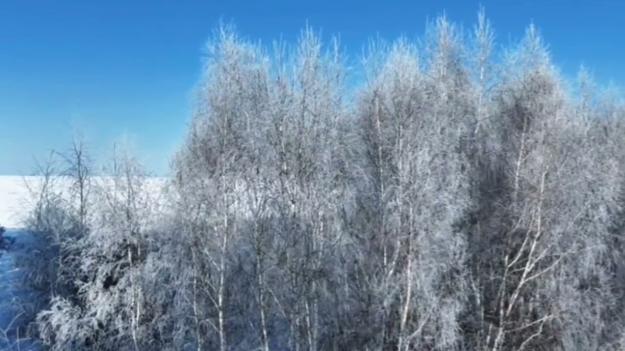 ROKIETNICA - Gmina Otulona Śnieżnym Puchem 2026 