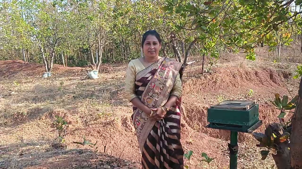 Mini Farm House Tour 🌿 | Dragon Fruit | Strawberry Farm | Honey Bee Farming  | Life with Swarnalata