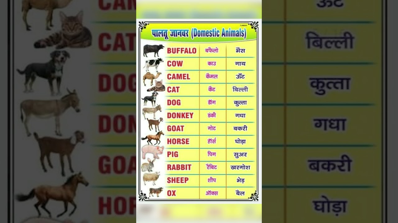 Domestic Animal Names पालतू जानवरों के नाम  #lewhshorts76 English Speaking #shorts #youtubeshorts