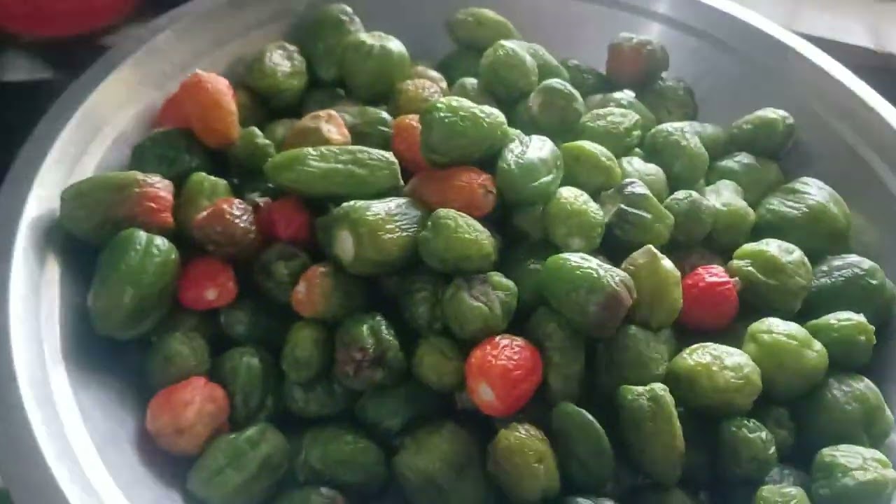 #200 //AKBARE/DALLE KHURSANI RECIPE //HOMEMADE CHERRY CHILLI 🌶 😋ACHHAR 🌶