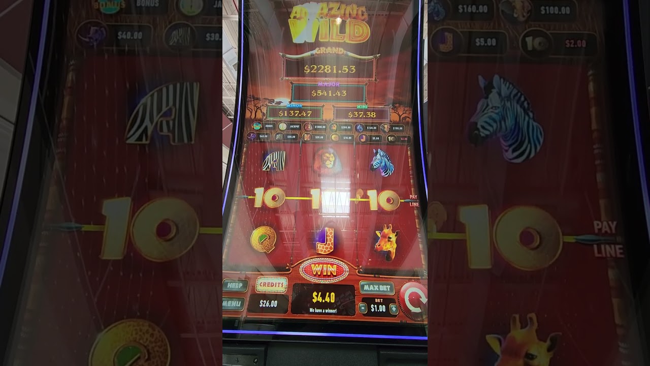 Amazing Wild Bonus Spins! #videoslots  #skills #gambling #slot #casino #asmr  #casinoplay  #shorts