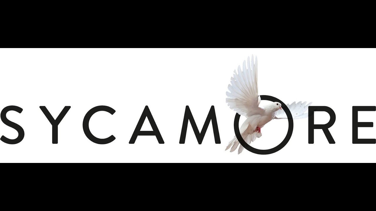 Sycamore: Session 1 - The Search for Happiness