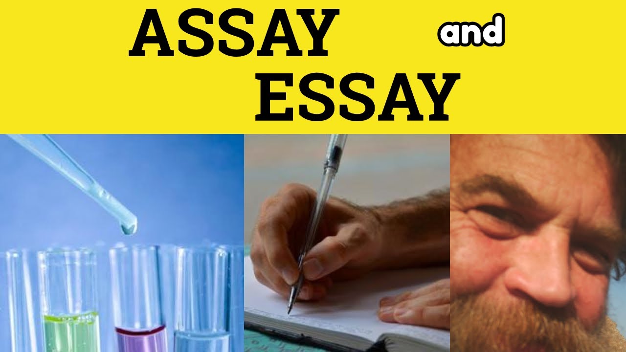 🔵 Assay Essay - Assay Meaning - Essay Defined - Assay Examples