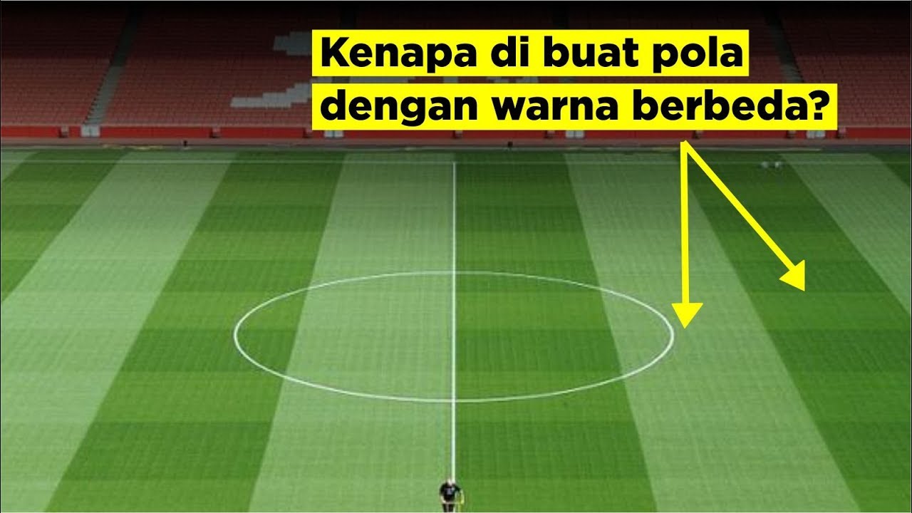 Fungsi dan Cara Membuat Pola di Rumput Lapangan Sepakbola
