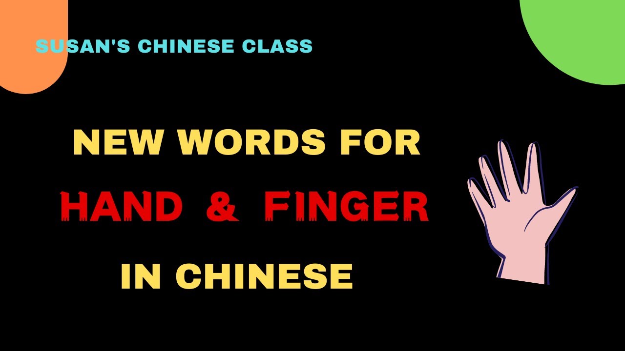 Learn new words for the hand and finger in Chinese.