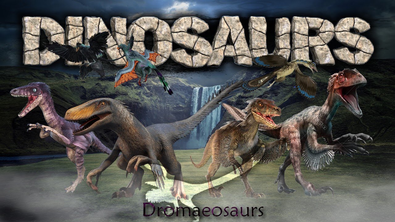 Dinosaurs XI : Theropoda - Dromaeosaurs