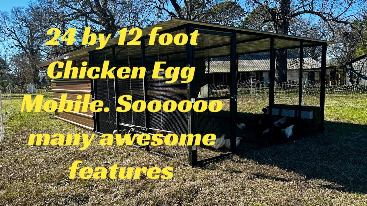 24 by 12 foot egg chicken mobile. Automatic water, rain catching, rollout nest boxes.