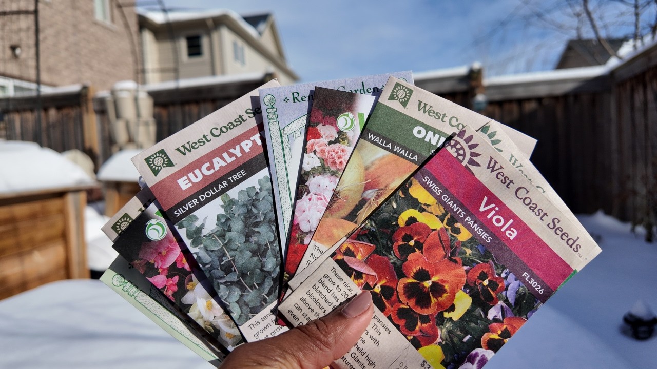 Don't Wait! Seeds to Start in January for Cold Climates