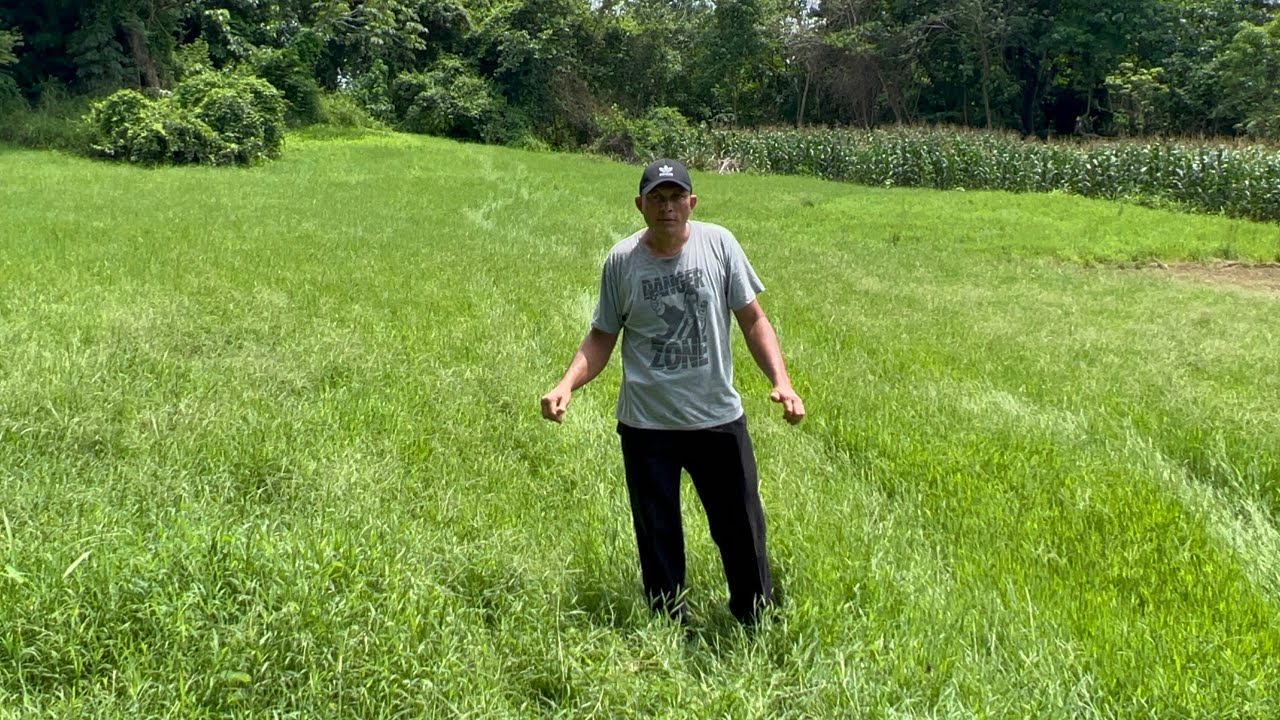 Terreno de 40 manzanas regadío en sonsonate precio 13,000 neg c/u por manzana 503-7626-7940