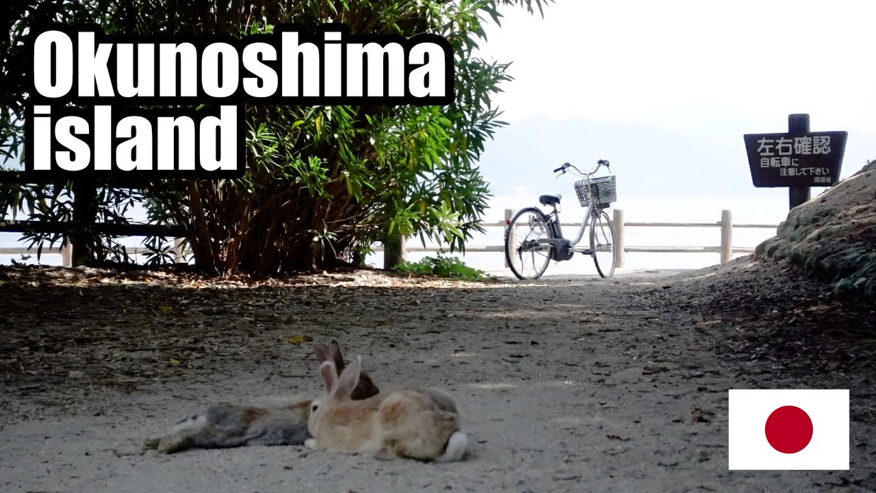 Rabbit island,which was erased from the map,the island of poison gas, Okunoshima,Hiroshima-Japan大久野島