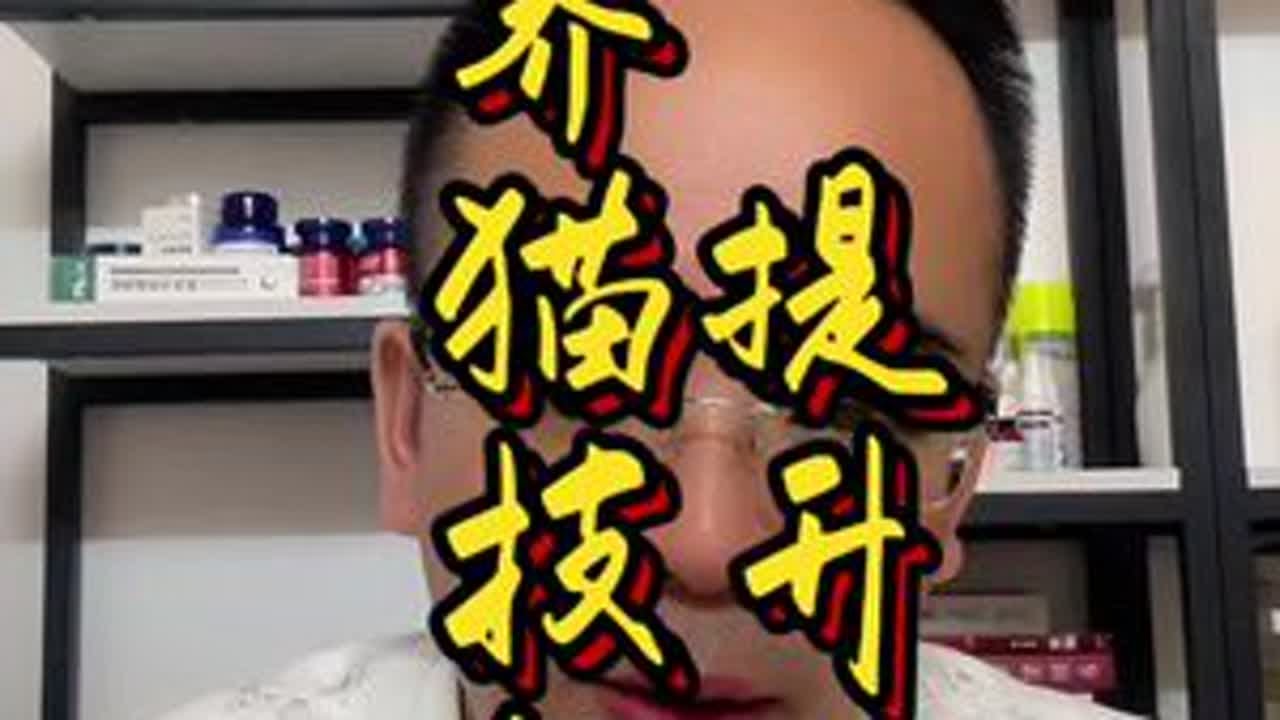 打铁还需自身硬，养猫也得自己强！#科学养猫 #涨知识 #养猫经验分享 #养宠进阶指南