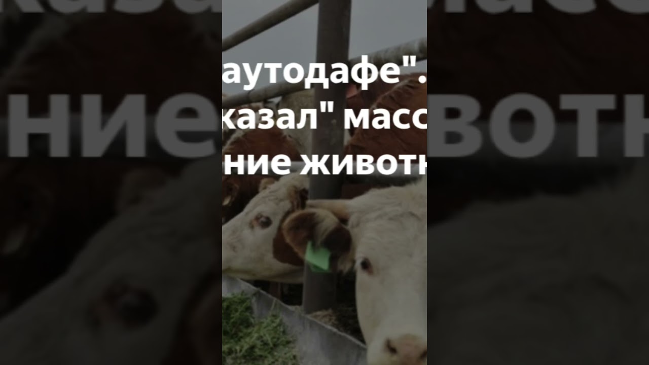 Моё мнение 😢#беспредел власти