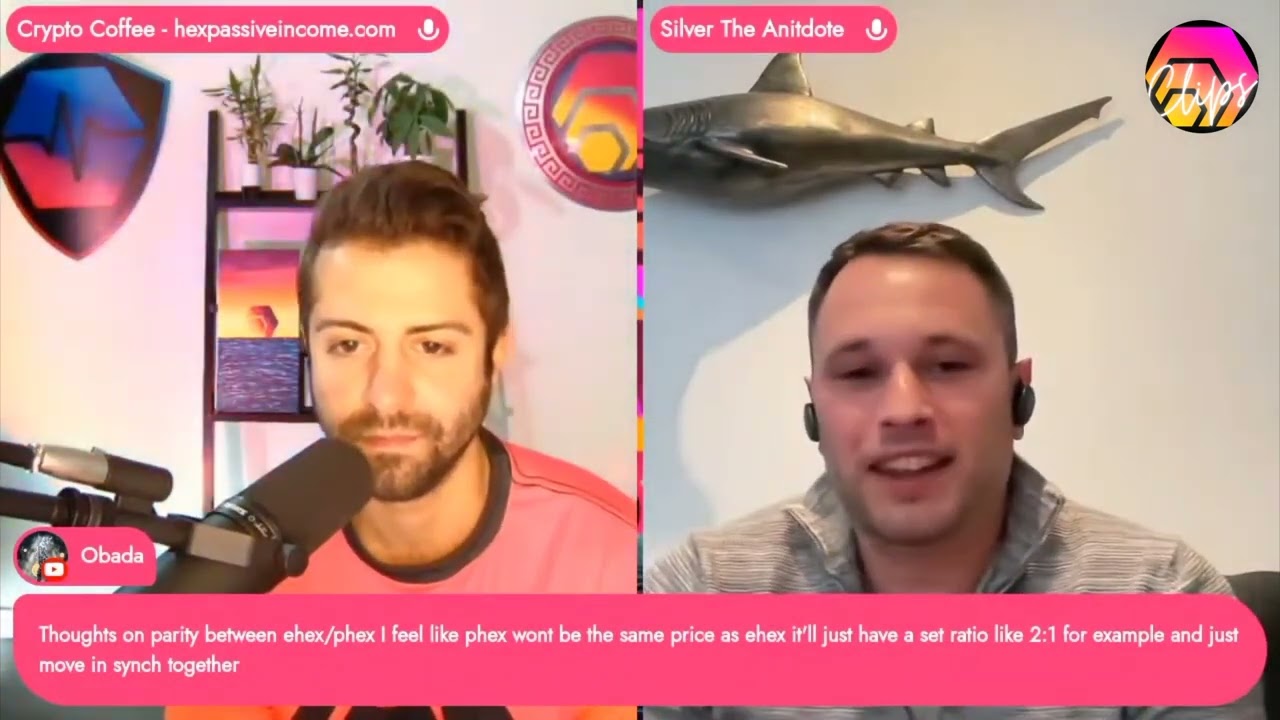 More talk on the bonding of liquidity on Pulsechain. (CryptoCoffee, Silver The Antidote)