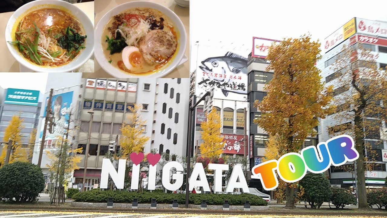 NIIGATA CITY APPOINTMENT & QUICK TOUR