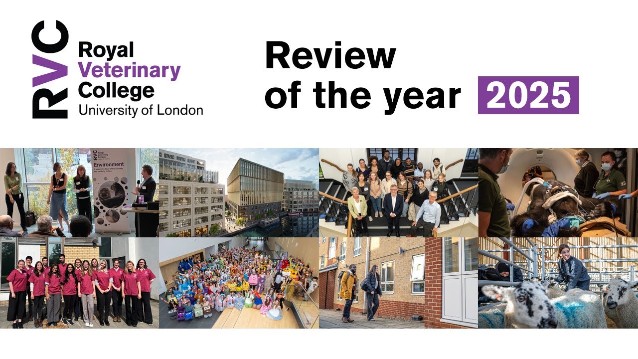 RVC Review of the Year 2025