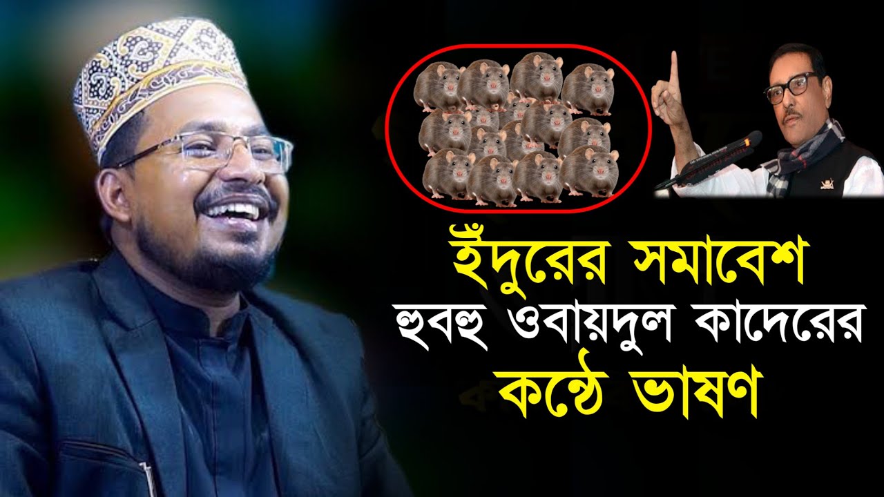 ইঁদুরের সমাবেশে হুবহু ওবায়দুল কাদেরের কন্ঠে ভাষণ// কবির বিন সামাদ// @Gazitvkhuln
